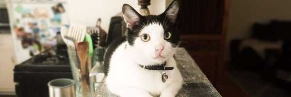 itsmetheresac Profile Banner