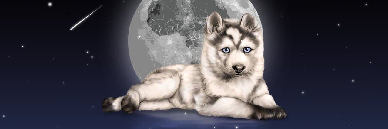 BabyWoolf banner