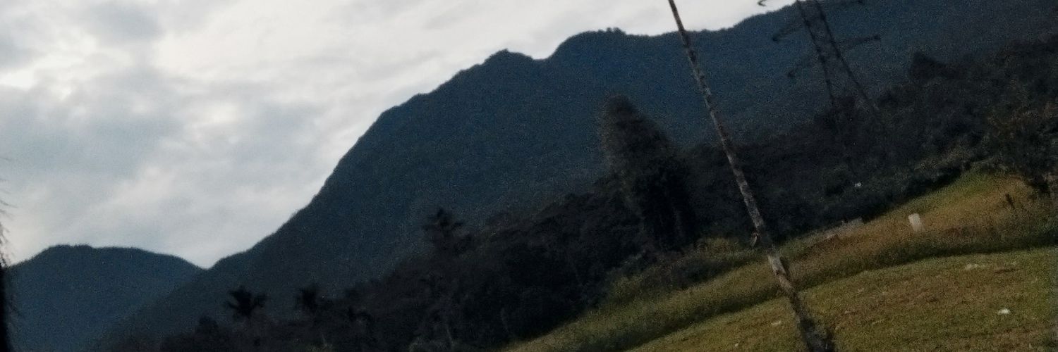 RSurenga's profile banner image