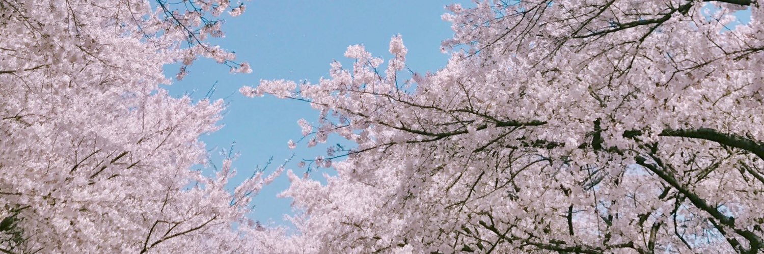 bellajorika's profile banner image