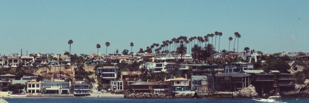 Camille Johnson banner