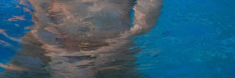 Ronnie17177's profile banner image
