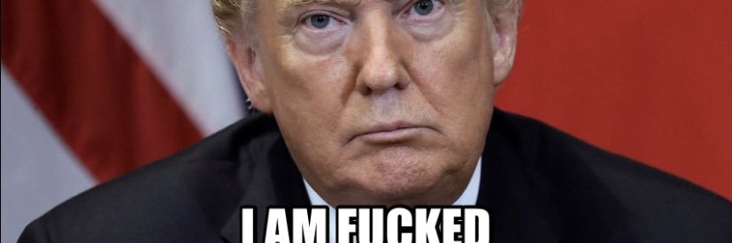 TrumpOrDemocracy banner