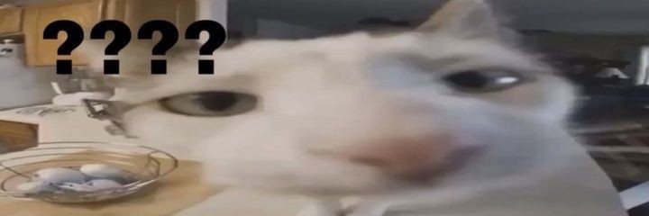 janissrl's profile banner image