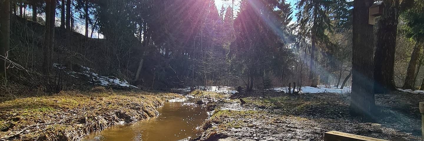 Doolin Victor banner