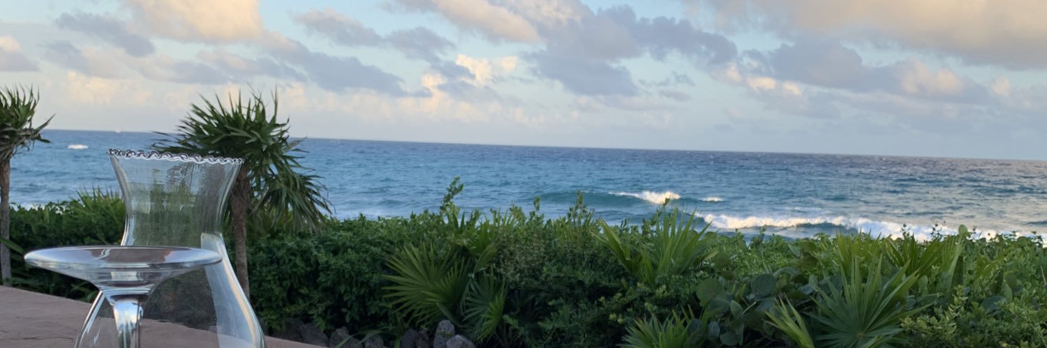 nft_rover's profile banner image