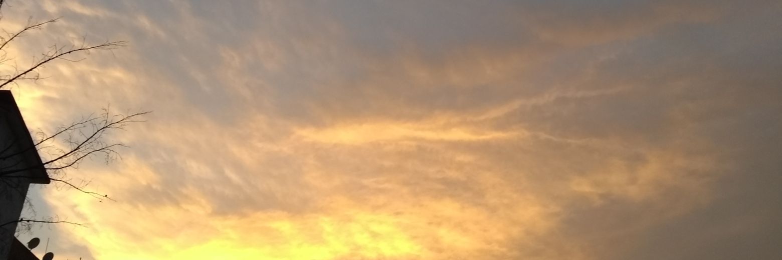 gtenoriol's profile banner image
