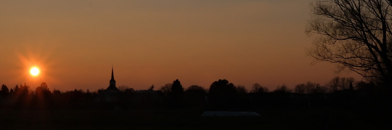 c_lippok's profile banner image