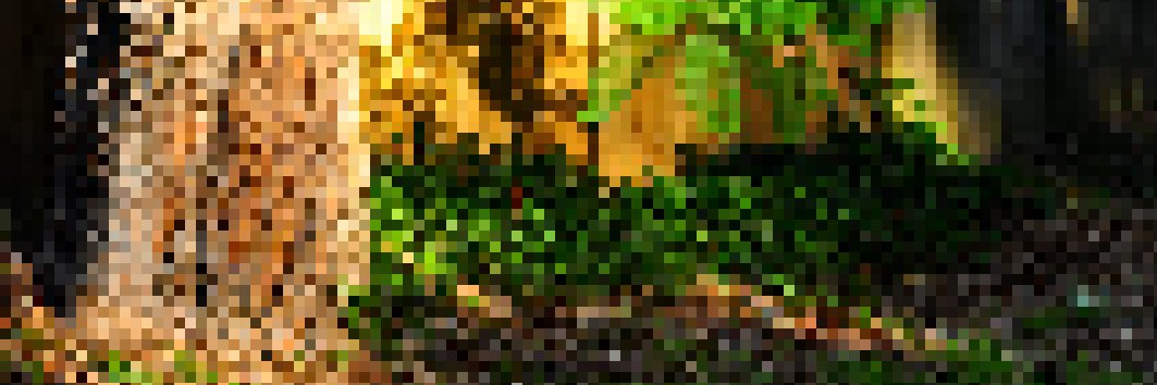 dilipt's profile banner image