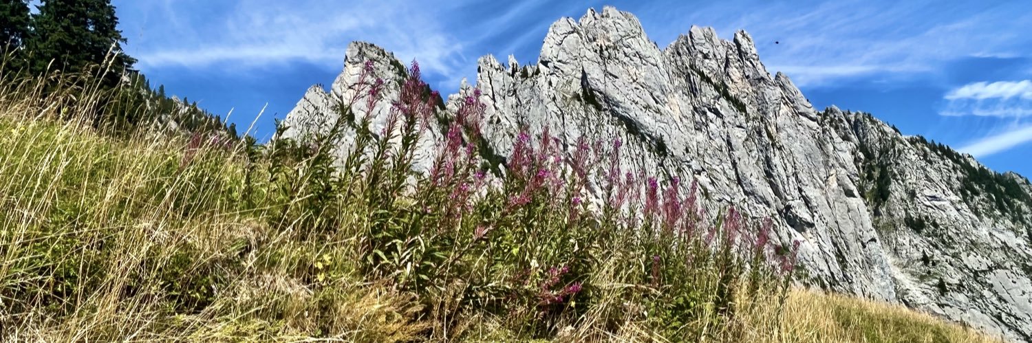 Angela Washenko, BSN, RN 🇺🇸🇺🇦 banner