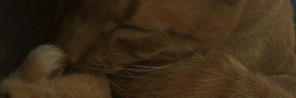 _anaalby's profile banner image