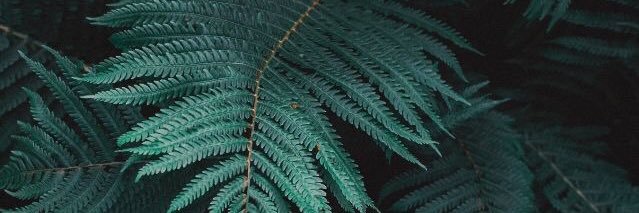 otepeyurt's profile banner image