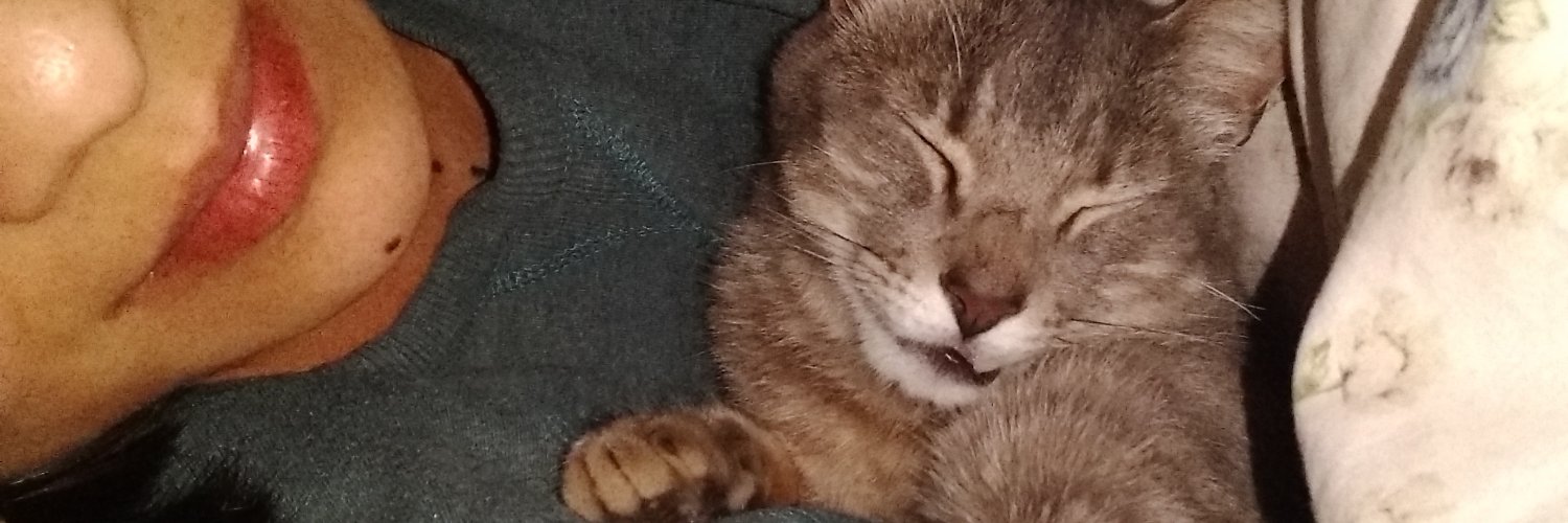 Miikilla's profile banner image
