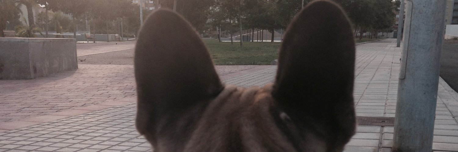 Pablo banner
