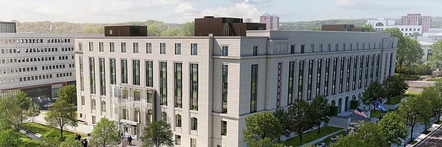 Natalie Braswell banner