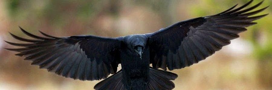 erdemsarioglu09's profile banner image