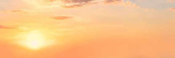 Butters_sweetie's profile banner image