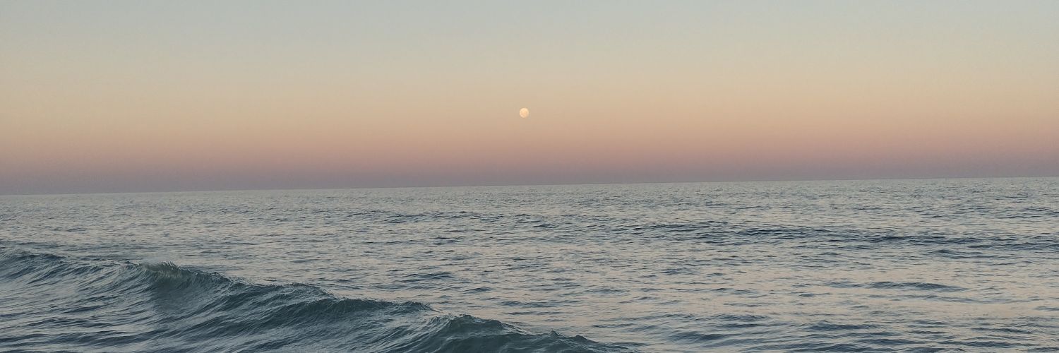 _bonavettiA's profile banner image