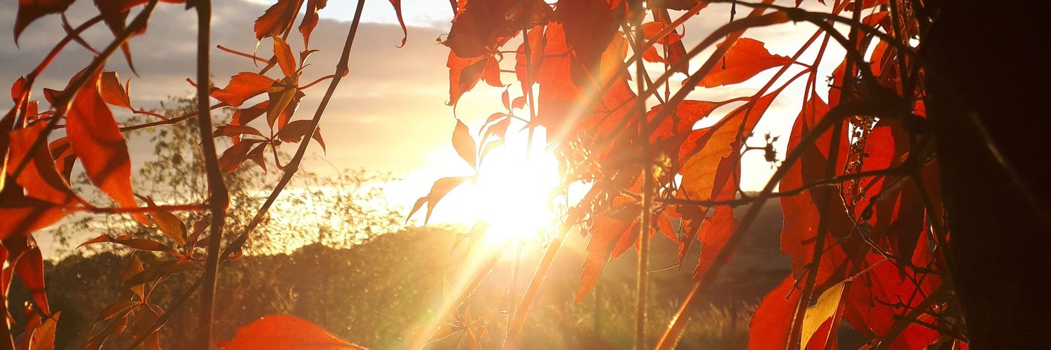 KateWil89340507's profile banner image