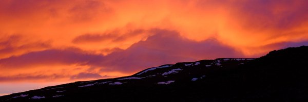 daniellegroves_ Profile Banner