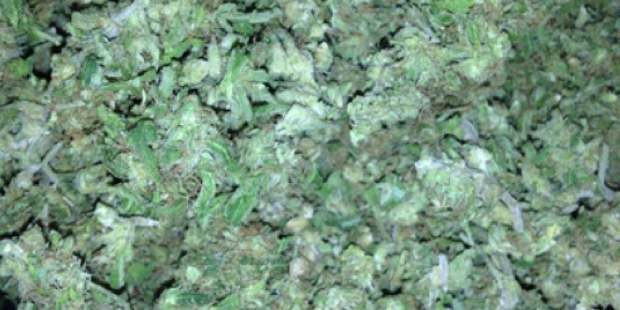 jared_zaidi's profile banner image