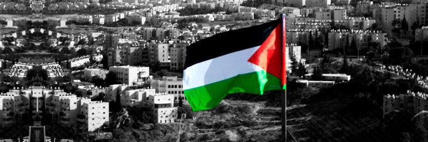 mohanad_shurafa's profile banner image