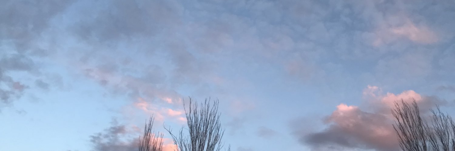 lopez_pons's profile banner image