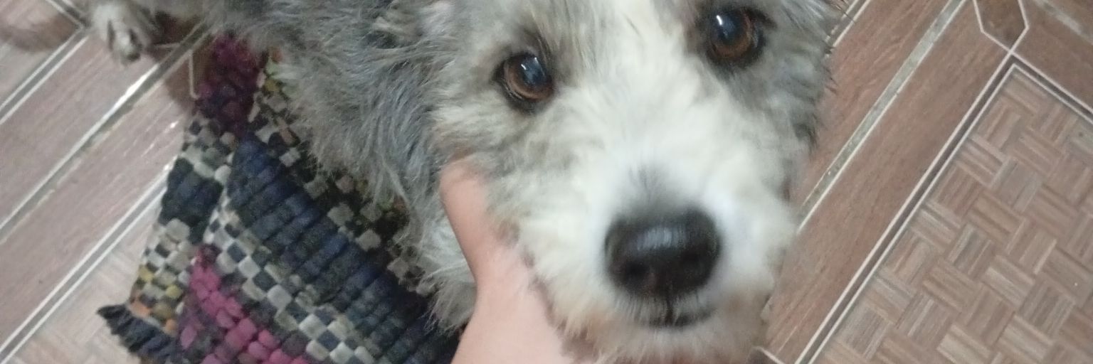 Lesv77's profile banner image