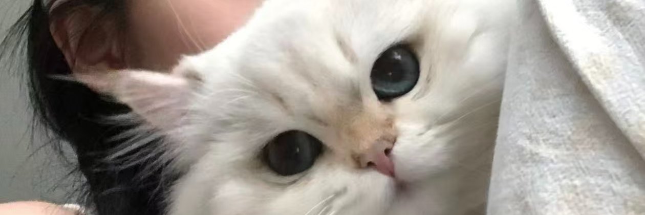Mauriciosf1941's profile banner image