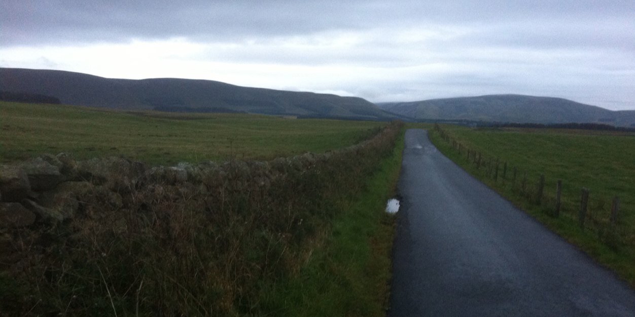 Tricia Murphy-Black banner