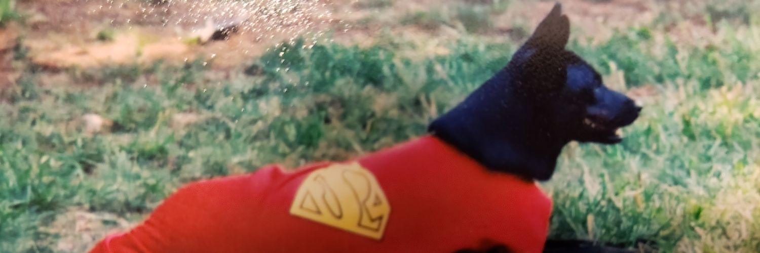 chrisbsmith22's profile banner image