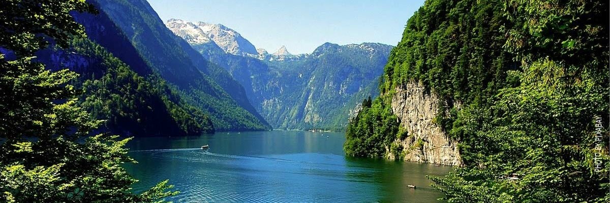 Sefear ✨ | Tangleverse.io banner