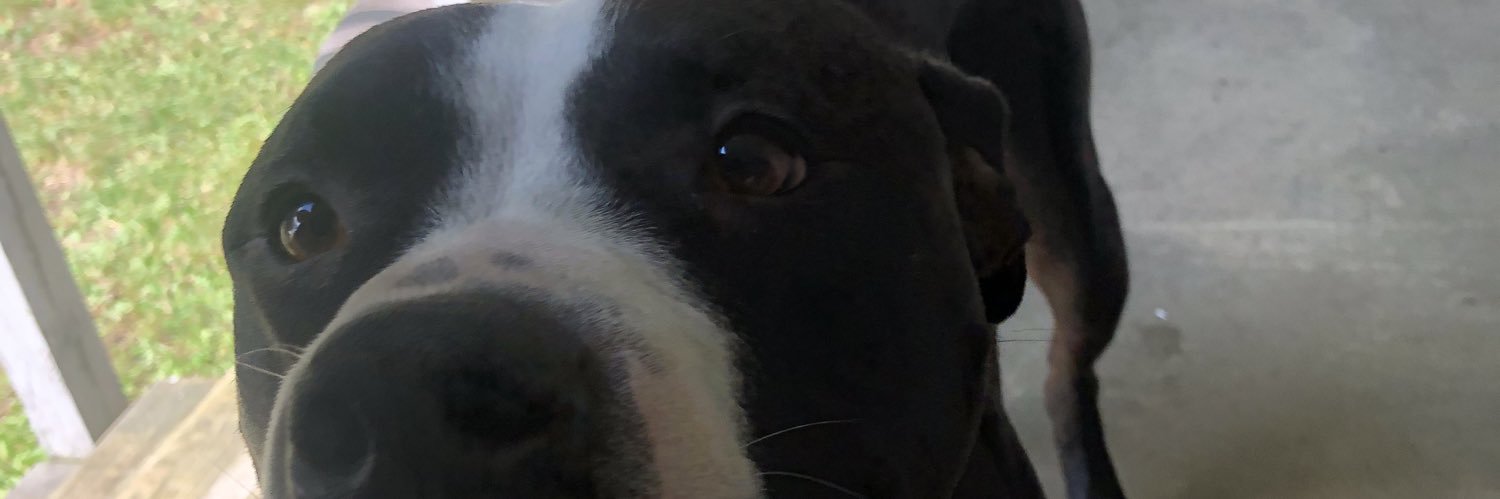 chop_nft's profile banner image