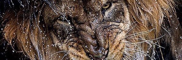 SEDDel21's profile banner image