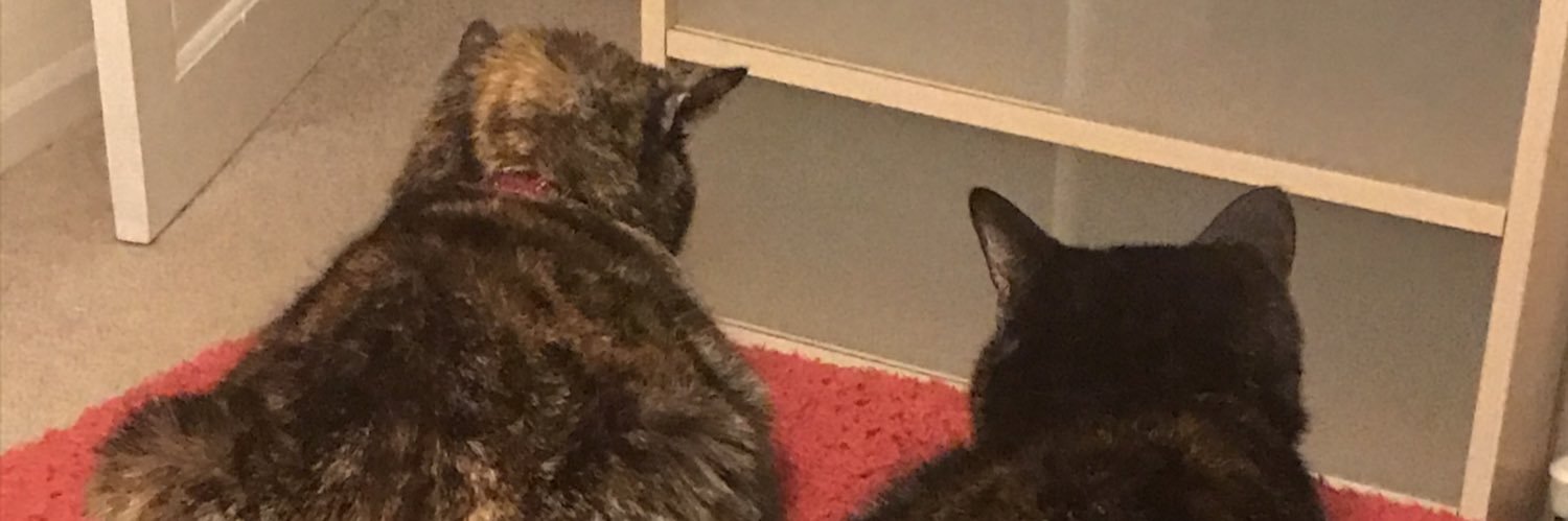 jfishy72's profile banner image
