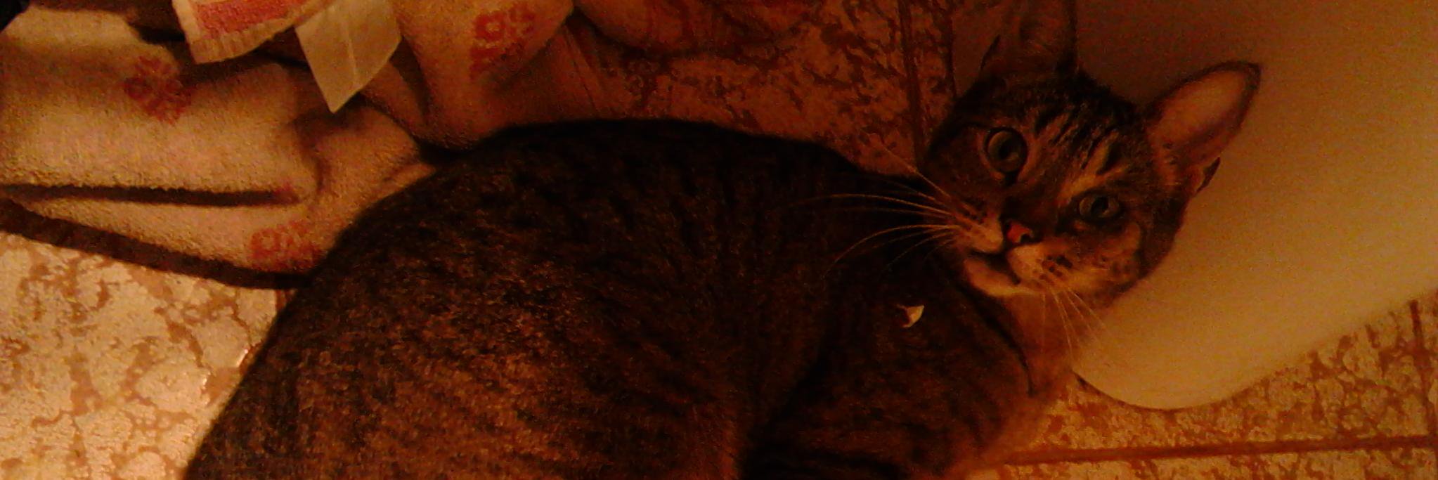 SabriPerichon's profile banner image