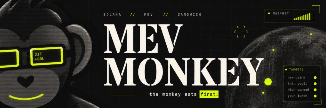 solmevmonkey's profile banner image