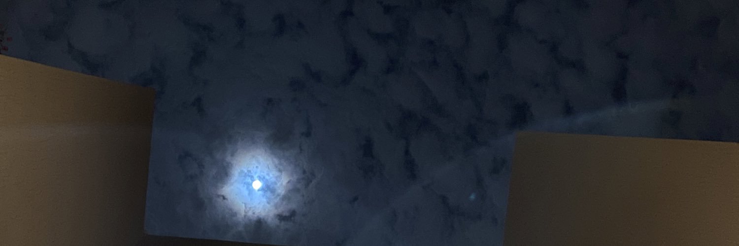 shiil_iii's profile banner image