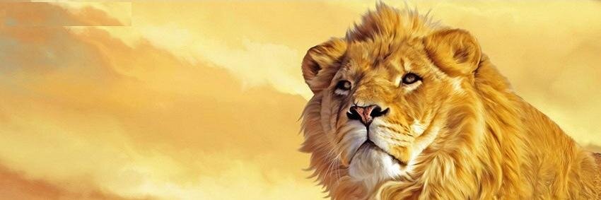 tucanalm's profile banner image