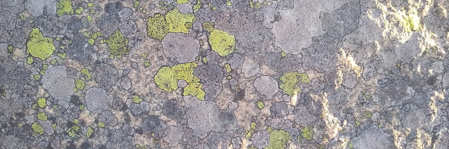 winobes's profile banner image