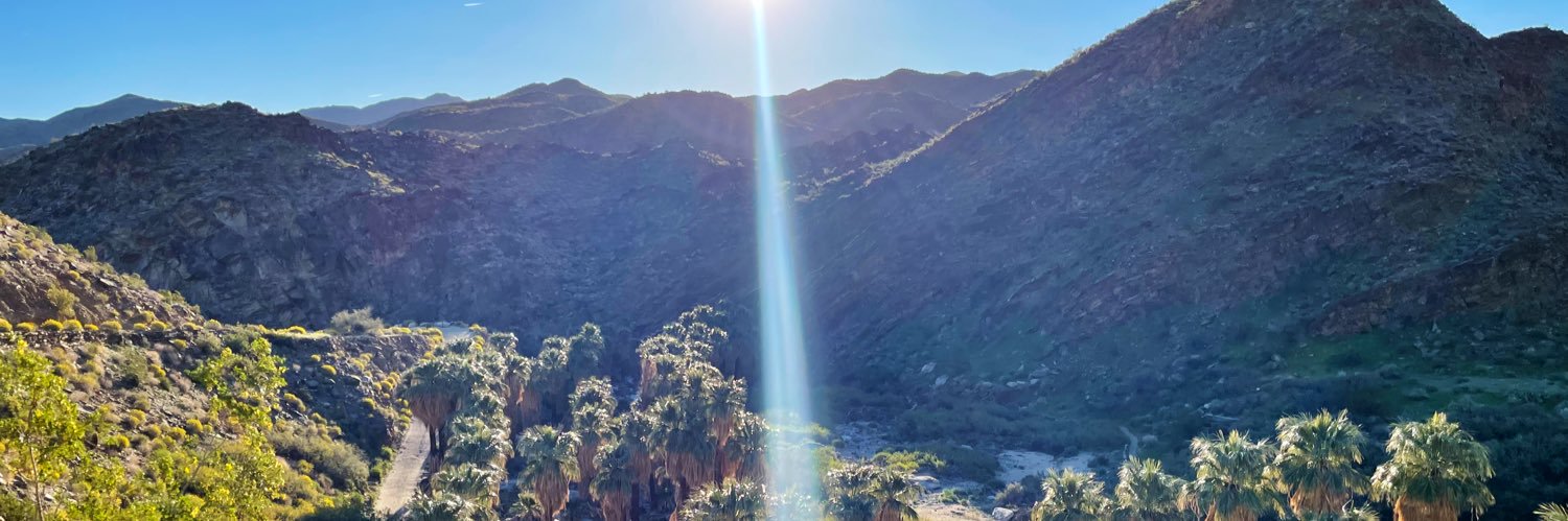 Lauren van Schilfgaarde banner