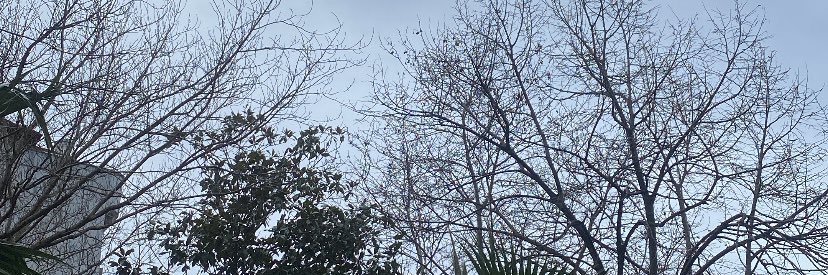 mrysrlkk's profile banner image
