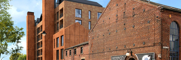 idplanning Profile Banner