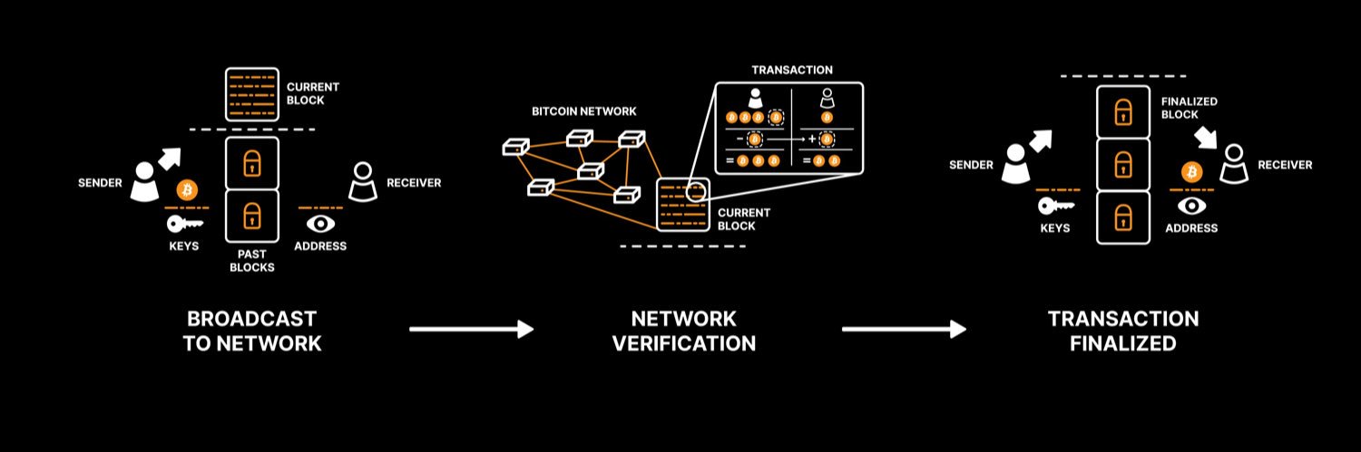 Bitcoin Magazine EDU banner