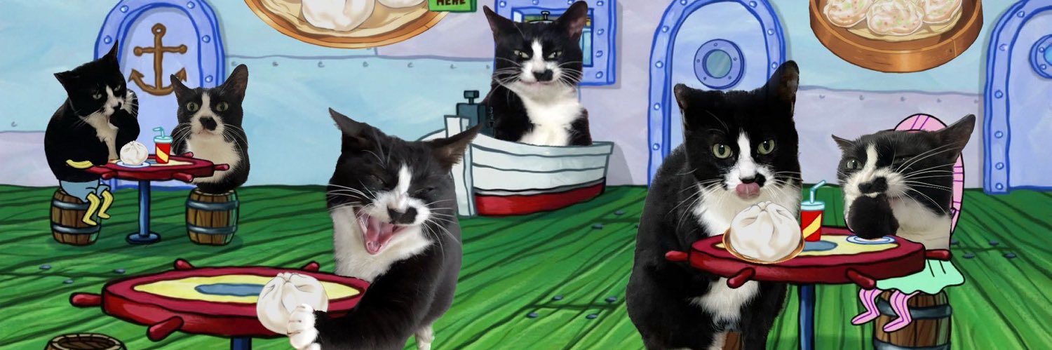 이단풍(12세) banner