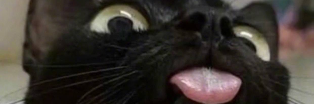 rbqdiary00's profile banner image