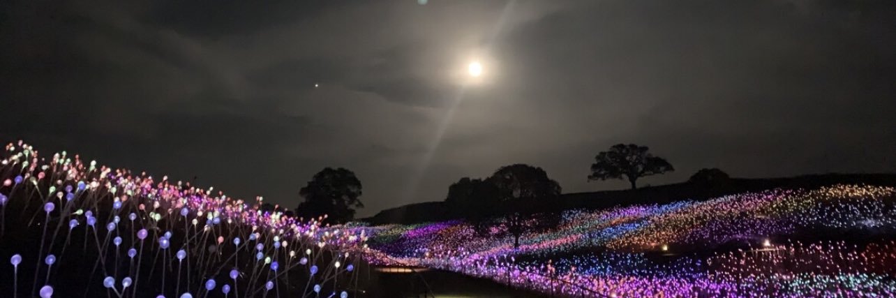 Aurora 🕊️ banner