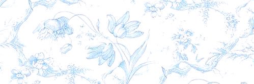 KNFRUT's profile banner image
