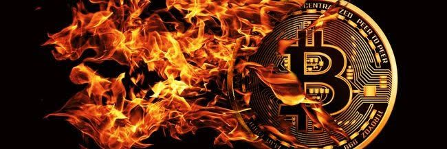 Crypto Lover 0007 banner