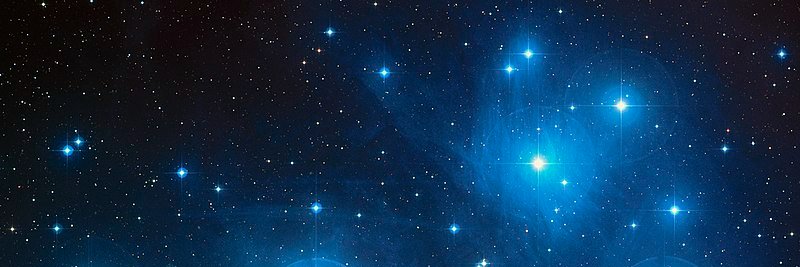 Chantel17-Dark TQ Light banner